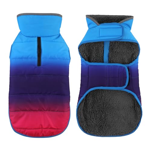 Petglad Hunde-Wintermantel, wasserdichte Hundejacke mit Loch für die Leine, reflektierend, warm, winddichte Fleece-Weste für kleine, mittelgroße und große Hunde, Farbverlauf, Blau, Größe S Petglad Hunde-Wintermantel, wasserdichte Hundejacke mit Loch für die Leine, reflektierend, warm, winddichte Fleece-Weste für kleine, mittelgroße und große Hunde, Farbverlauf, Blau, Größe S von Petglad