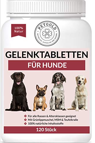 Petgold 120 Gelenktabletten Hund – Hoch konzentrierte Hunde Tabletten für Gelenke – Grünlippmuschelpulver MSM & Teufelskralle – Gelenk Tabletten für Hunde von Petgold