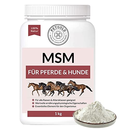 Petgold MSM Pferd Pulver 1000g für Hunde & Pferde Hochdosiert – Schwefel Methylsulfonylmethan – MSM Pulver Pferd & Hund Petgold MSM Pferd Pulver 1000g für Hunde & Pferde Hochdosiert – Schwefel Methylsulfonylmethan – MSM Pulver Pferd & Hund von Petgold