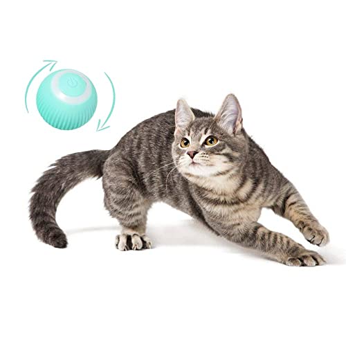 Interaktiver Katzenball für Haustiere, USB-C-Aufladung, Katzenspielzeug, Bälle, Automatisches Drehen für Haustiere, lange Akkulaufzeit, Neuheit 2022 (Blau) von PetGravity