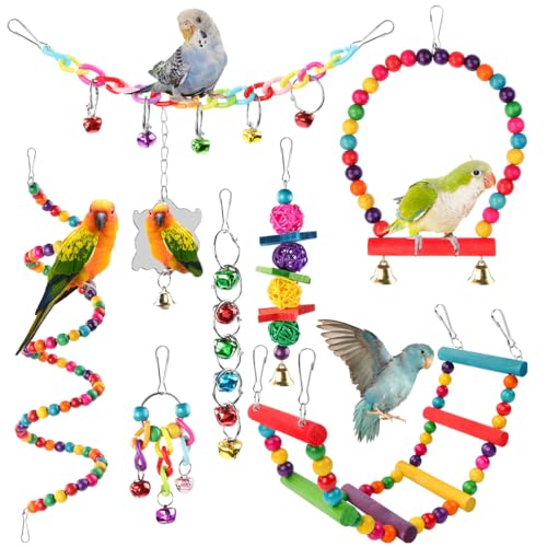 Pethee 8 Stück Vogelspielzeug für Wellensittiche Kauspielzeug für Papageien Vogelschaukel Glocken Schaukelspielzeug aus Holz für Conures Liebesvögel Nymphensittiche kleine Sittiche Sittiche Finken Pethee 8 Stück Vogelspielzeug für Wellensittiche Kauspielzeug für Papageien Vogelschaukel Glocken Schaukelspielzeug aus Holz für Conures Liebesvögel Nymphensittiche kleine Sittiche Sittiche Finken von Pethee