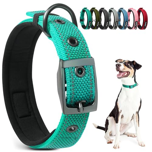 PetiFine Hundehalsbänder für kleine Hunde, Neopren gepolstert und verstellbar, reflektierend, breit, strapazierfähig, mit robuster Metall-Gürtelschnalle zum Spazierengehen, Blaugrün, S von PetiFine
