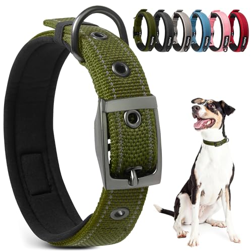 PetiFine Hundehalsbänder für mittelgroße Hunde, Neopren gepolstert und verstellbar, reflektierend, breit, strapazierfähig, mit robuster Metall-Gürtelschnalle zum Spazierengehen, Grün, M von PetiFine