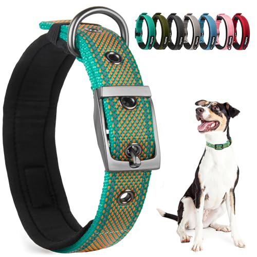 PetiFine Hundehalsband für große Hunde, Neopren gepolstert und verstellbar, reflektierend, breit, strapazierfähig, mit robuster Metall-Gürtelschnalle zum Spazierengehen, Blaugrün und Orange, L von PetiFine