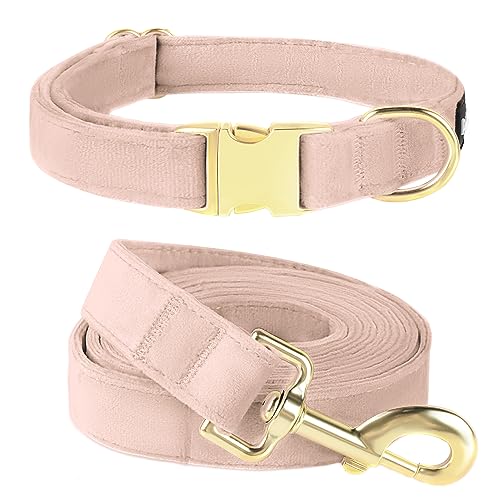 PetiFine Hundehalsband und Leine, verstellbar, rosa, super weiches Samt-Hundehalsband und Leine mit Metallschnalle für kleine, mittelgroße und große Hunde von PetiFine