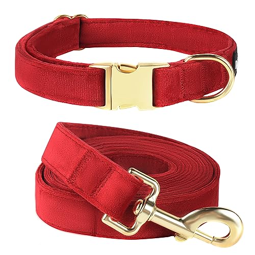 PetiFine Hundehalsband und Leine, verstellbar, rotes Hundehalsband, superweiches Samt-Hundehalsband und Leine mit Metallschnalle für kleine, mittelgroße und große Hunde von PetiFine