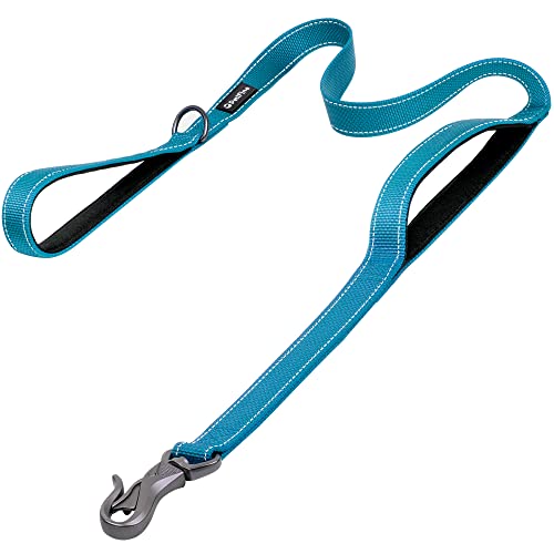 PetiFine Hundeleine, 1,5 m lang, doppelte Griffe, Leine für Kontrollsicherheitstraining – Leinen für große Hunde oder mittelgroße Hunde (blau) von PetiFine