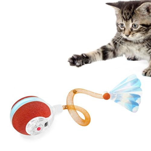 Petiepaw Interaktive Katzenspielzeuge - Kugel für Indoor-Katzen, Die dritte Generation der agilen beweglichen Katzenkugel mit elastischem Netzschwanz, Automatische Spielzeuge für Katzen und Kätzchen Petiepaw Interaktive Katzenspielzeuge - Kugel für Indoor-Katzen, Die dritte Generation der agilen beweglichen Katzenkugel mit elastischem Netzschwanz, Automatische Spielzeuge für Katzen und Kätzchen von Petiepaw