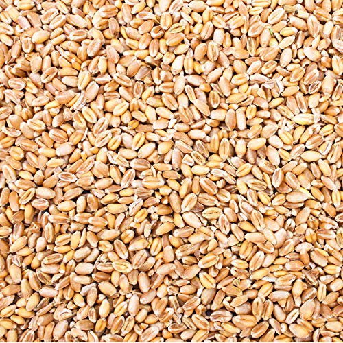 Petigi 15 Kg Weizen Hühnerfutter Hühner Huehner Futter Futterweizen Weizenfutter Weizenkorn Korn Getreide Geflügelfutter Sack Weizenkoerner Koerner Wildvögel von Petigi