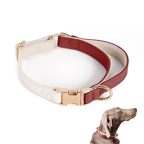 Hundehalsband, Leder, Größe M, Rot von Petinstinct