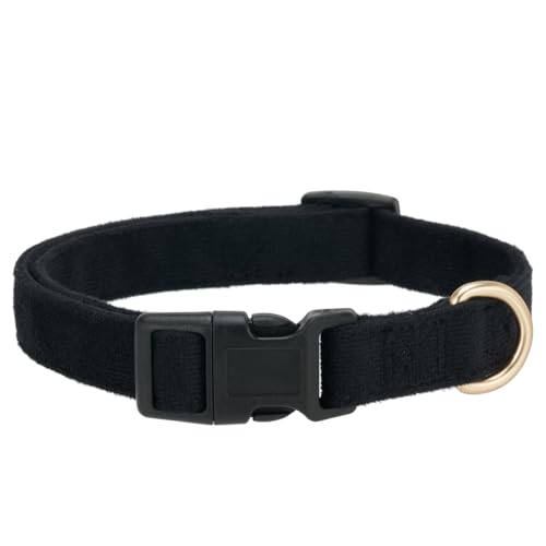 Petiry Hundehalsband aus weicher Cordfaser, Schnellverschluss-Schnalle, für große Hunde, Schwarz, Größe L: 43,2–66 cm Petiry Hundehalsband aus weicher Cordfaser, Schnellverschluss-Schnalle, für große Hunde, Schwarz, Größe L: 43,2–66 cm von Petiry