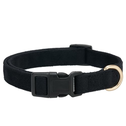 Petiry Hundehalsband aus weicher Cordfaser, Schnellverschluss-Schnalle, für kleine Hunde, Schwarz, Größe S: 25,4–38,1 cm Petiry Hundehalsband aus weicher Cordfaser, Schnellverschluss-Schnalle, für kleine Hunde, Schwarz, Größe S: 25,4–38,1 cm von Petiry