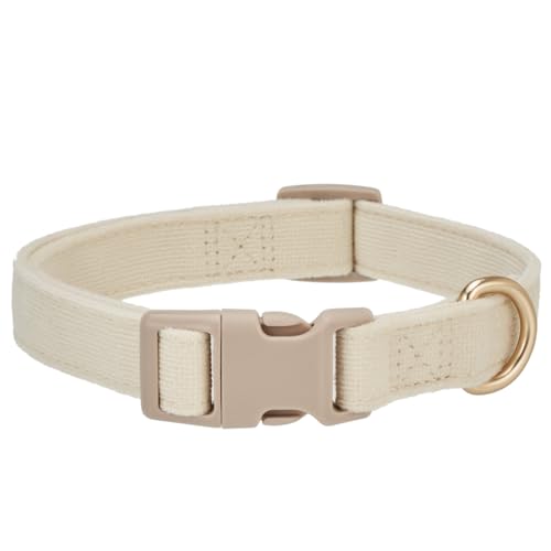 Petiry Hundehalsband aus weicher Cordfaser, Schnellverschluss-Schnalle, für kleine Hunde, Weiß, Größe S: 25,4–38,1 cm Petiry Hundehalsband aus weicher Cordfaser, Schnellverschluss-Schnalle, für kleine Hunde, Weiß, Größe S: 25,4–38,1 cm von Petiry