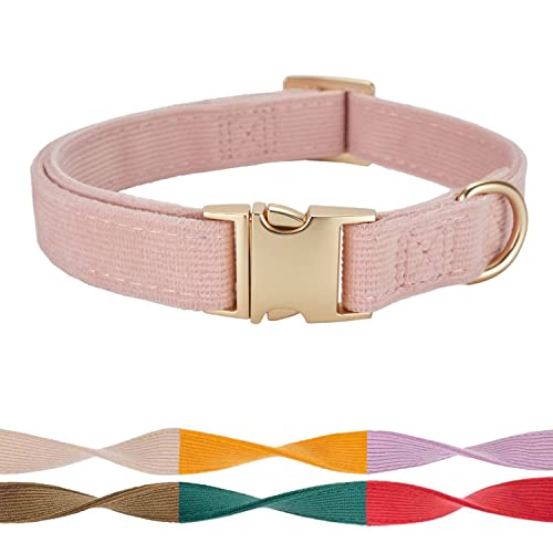 Petiry Hundehalsband mit Sicherheits-Metallschnalle, verstellbar, langlebig, Komfort, Samt, Cord, Welpenhalsband für kleine Hunde, Halsumfang 25–38 cm, Babyrosa von Petiry