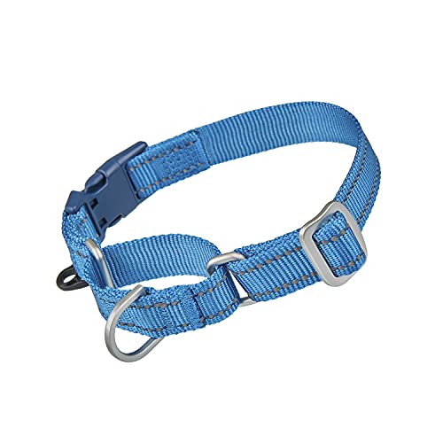 Petiry Martingale Halsband, reflektierendes Nylon, Choke-Halsband mit Sicherheitsschnalle, ausbruchsicher, Anti-Ziehen für kleine, mittelgroße und schwere Hunde (blau, L) von Petiry