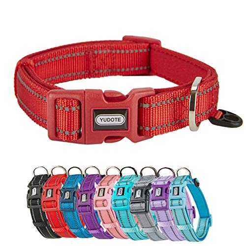 Petiry Reflektierendes Hundehalsband aus Nylon mit atmungsaktiver Neoprenpolsterung, verstellbar für mittelgroße und große Hunde (Halsumfang 24,9 - 38,1 cm, Rot) von Petiry