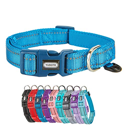 Petiry Reflektierendes Hundehalsband aus Nylon mit atmungsaktiver Neoprenpolsterung, verstellbar für mittelgroße und große Hunde (Halsumfang 43,2 - 66,8 cm, blau) von Petiry