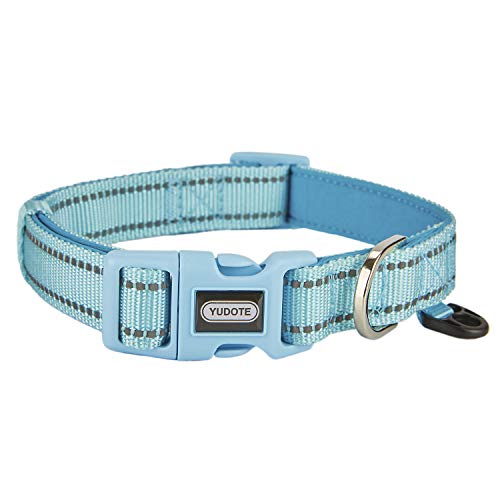 Petiry Reflektierendes Nylon-Hundehalsband mit atmungsaktiver Neopren-Polsterung, verstellbar für große Hunde. (Halsumfang 43,2 cm - 66,8 cm, Himmelblau) von Petiry