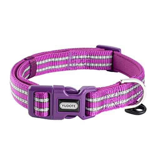 Petiry Reflektierendes Nylon-Hundehalsband mit weicher und bequemer Neopren-Polsterung, verstellbar für große Hunde. (Halsumfang 43,2 cm - 66,8 cm, Violett) von Petiry