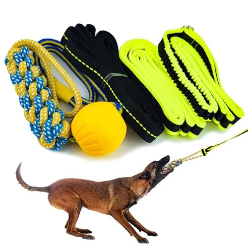 Petite Paws Baumseil für Hunde – Bungee-Zerrspielzeug für kleine bis große Rassen – Outdoor-Unterhaltung und Übung, hängendes Hundespielzeug, Tauziehen mit Kauseil und Ball-Set (Relfective) von Petite Paws
