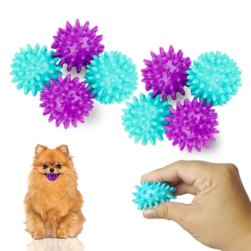 Petite Paws Spiky Hundeball, 4,6 cm, quietschendes Spielzeug für kleine Hunde, aggressives Kauen, Welpen, Zahnspielzeug, Hundeball für Training und Zahnreinigung, 8 Stück Petite Paws Spiky Hundeball, 4,6 cm, quietschendes Spielzeug für kleine Hunde, aggressives Kauen, Welpen, Zahnspielzeug, Hundeball für Training und Zahnreinigung, 8 Stück von Petite Paws