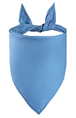 Petitebella Einfarbiges Haustier-Halstuch, Blau, Größe M Petitebella Einfarbiges Haustier-Halstuch, Blau, Größe M von Petitebella