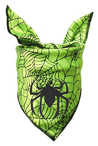 Petitebelle Black Spider Haustierhalstuch, Grün/Spinnennetz, Größe L von Petitebelle