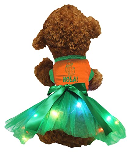 Petitebelle Cactus Hola Hundekleid für Welpen, Orange / Grün LED, Größe L von Petitebelle