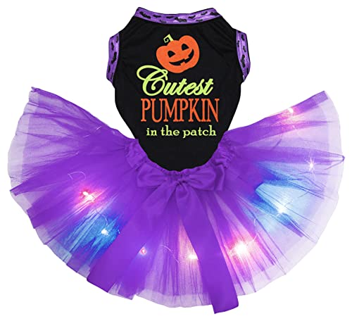 Petitebelle Cutest Smile Pumpkin In The Patch Hundekleid für Welpen, Schwarz/Violett, Größe XXXL von Petitebelle