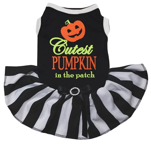 Petitebelle Cutest Smile Pumpkin in The Patch Welpenkleid für Welpen, Schwarz/Streifen, Größe XXL von Petitebelle