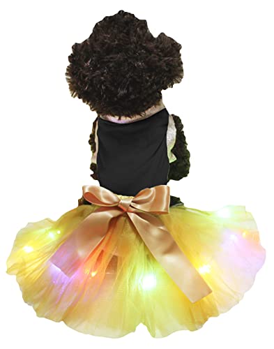 Petitebelle Einfarbiges Shirt mit LED-Licht, Tutu, für Welpen, Größe XL, Schwarz / goldfarben von Petitebelle