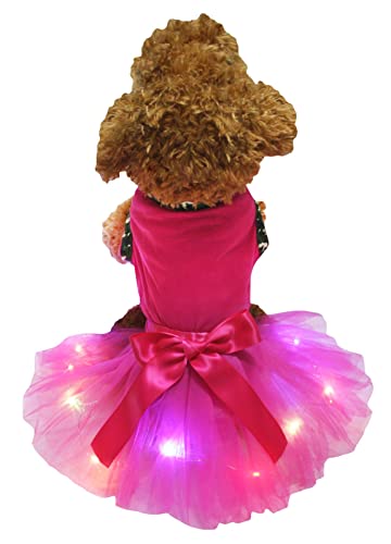 Petitebelle Einfarbiges Shirt mit LED-Licht, Tutu, für Welpen, Pink / Hot Pink, Größe XXL von Petitebelle