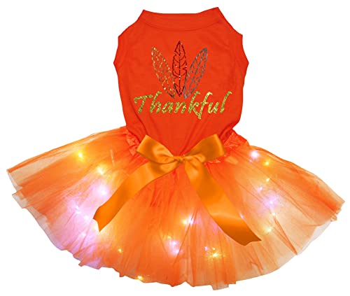 Petitebelle Feathers Thankful Welpenkleid für Hunde, Orange / Orange, LED, Größe XXL von Petitebelle