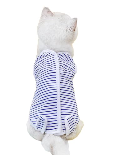 Petitebelle Gestreiftes Hunde-Shirt für Welpen, Größe M, Blau von Petitebelle