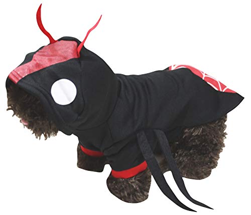 Petitebelle Halloween-Kostüm für Haustiere, Größe XL von Petitebelle