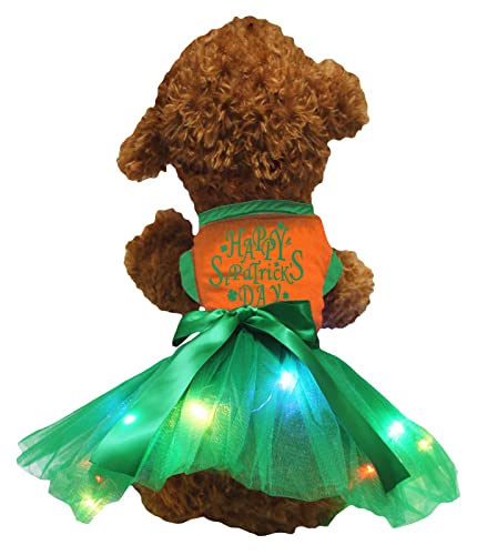 Petitebelle Happy St Patrick's Day Hundekleid für Welpen, orange/grüne LED, Größe S von Petitebelle