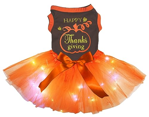 Petitebelle Happy Thanksgiving Kürbis Welpenkleid (braun/orange LED, XX-Large) von Petitebelle