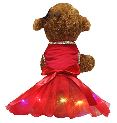 Petitebelle Hundekleid mit LED-Licht, Tutu, Rot/Rot, Größe XS von Petitebelle
