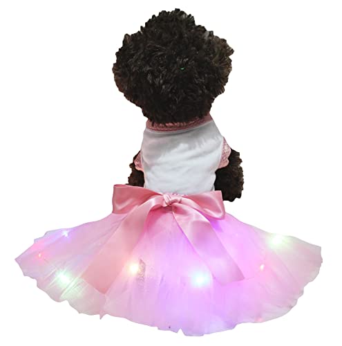 Petitebelle Hundekleid mit LED-Licht, Tutu, Weiß / Rosa, Größe S von Petitebelle