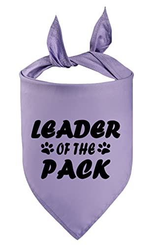 Petitebelle Leader Of The Pack Haustier-Halstuch, lavendelfarben, Größe M von Petitebelle