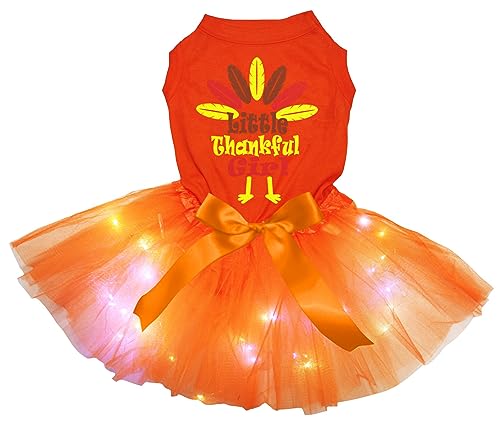 Petitebelle Little Thankful Girl Truthahn Welpenkleid für Welpen, Orange / Orange, LED, Größe XXL von Petitebelle