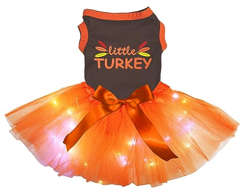 Petitebelle Little Turkey Feathers Welpenkleid für Welpen, mit LED-Beleuchtung, Braun / Orange, Größe L von Petitebelle