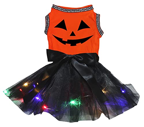 Petitebelle Pumpkin Face Hundekleid für Welpen, orange/schwarze LED, Größe XXL von Petitebelle