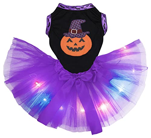 Petitebelle Pumpkin Witch Puppy Dog Dress (Black/Purple LED, X-Small) von Petitebelle