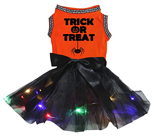 Petitebelle Trick Or Treat Spinnen-Hundekleid, orange/schwarze LED, Größe L von Petitebelle
