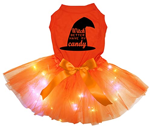 Petitebelle Witch Better Have My Candy Hundekleid für Welpen, orange/orange LED, Größe XS von Petitebelle
