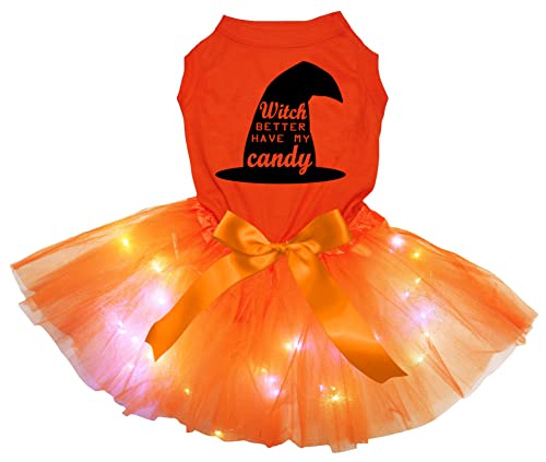 Petitebelle Witch Better Have My Candy Hundekleid für Welpen, orange/orange LED, Größe XXL von Petitebelle