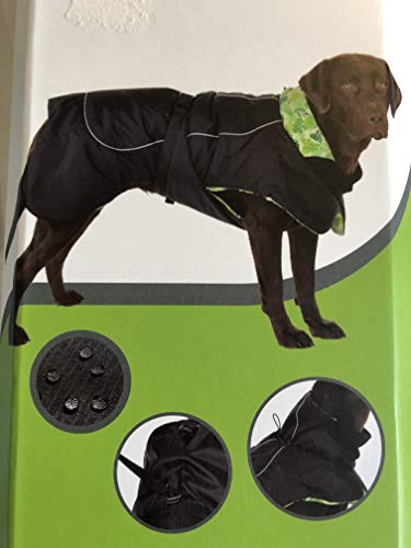 Petlando Wintermantel für Hunde Happiness Limited schwarz/grün 65 cm von Petlando