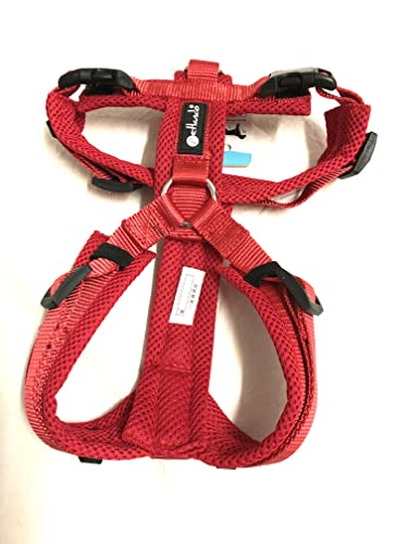 Petlando Y-Comfort Mesh Geschirr rot S (Halsumfang 34-62 cm, Brustumfang 44-60 cm) von Petlando