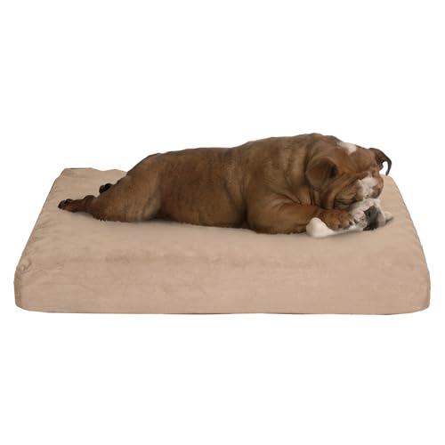 Petmaker Tan Orthopädisches Haustierbett, Eierkäfig und Memory-Schaum, mit waschbarem Bezug, 66 x 48 x 10 cm Petmaker Tan Orthopädisches Haustierbett, Eierkäfig und Memory-Schaum, mit waschbarem Bezug, 66 x 48 x 10 cm von Petmaker